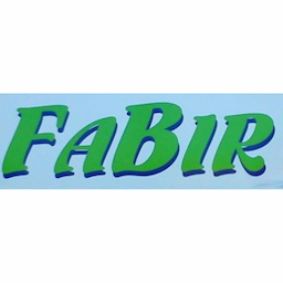 logo firmy Fabir